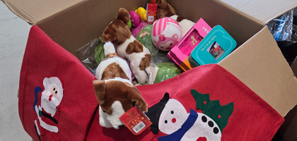 Christmas Sacks SEO