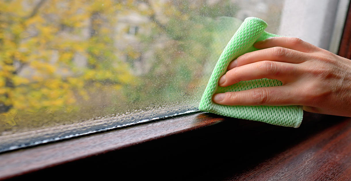 Tackling damp, mould and condensation The Hyde Group