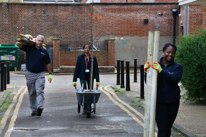Tree Planting Stockwell Working 1