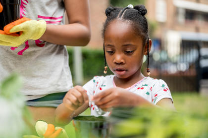 Kennington Park Community Garden 1 (002)