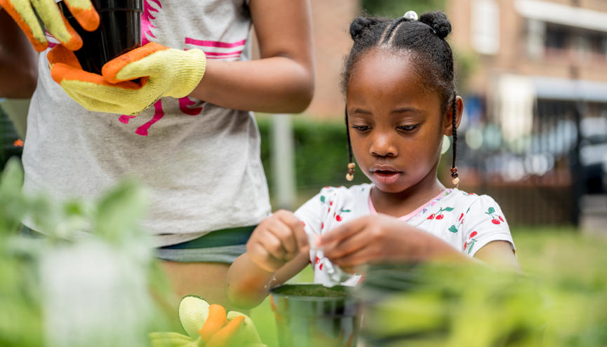 Kennington Park Community Garden 1 (002)