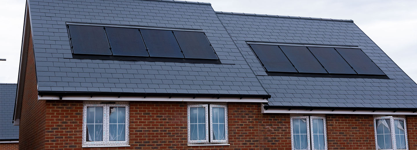 GFP News Story Banner