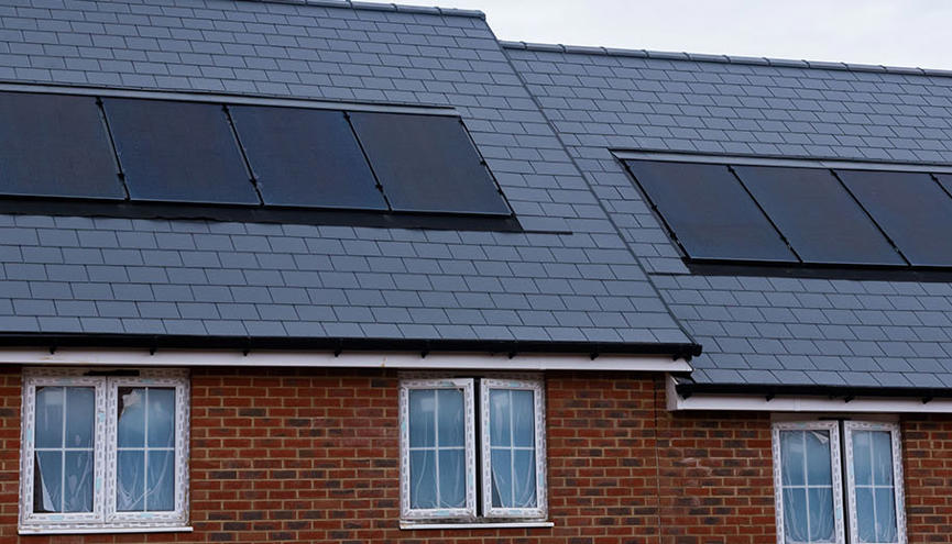 GFP News Story Banner