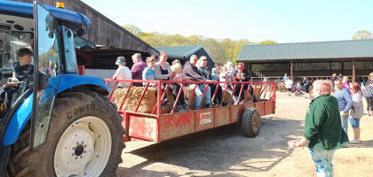 Lambing farm tractor - SEO
