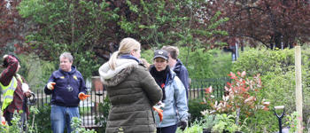 Biodiversity Action Plan SEO