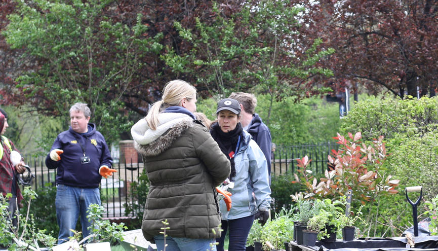 Biodiversity Action Plan SEO