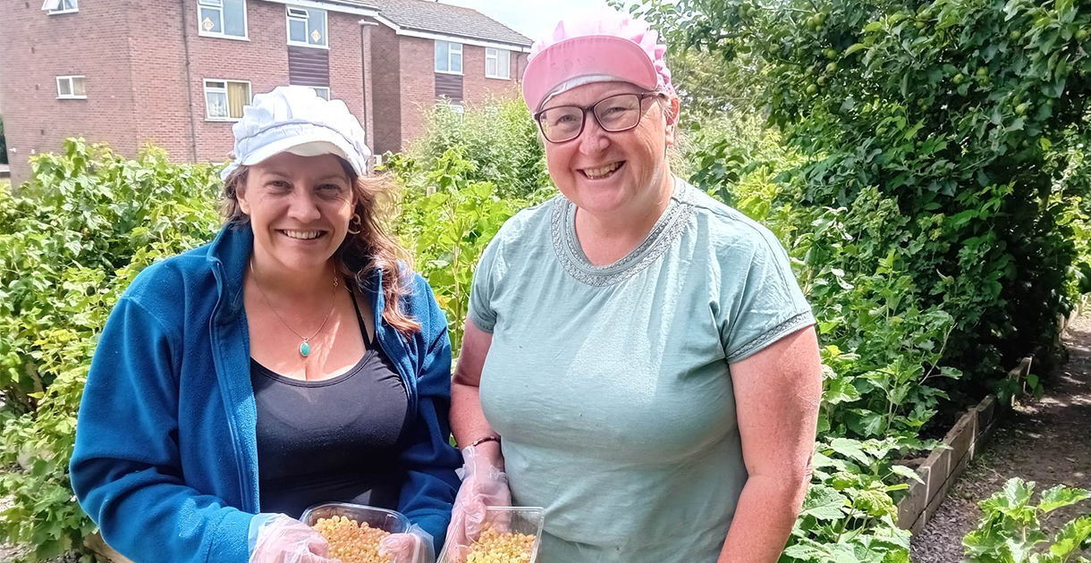 Petworth Gardens SEO (1)