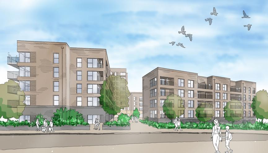Sackville Road Development Drawing