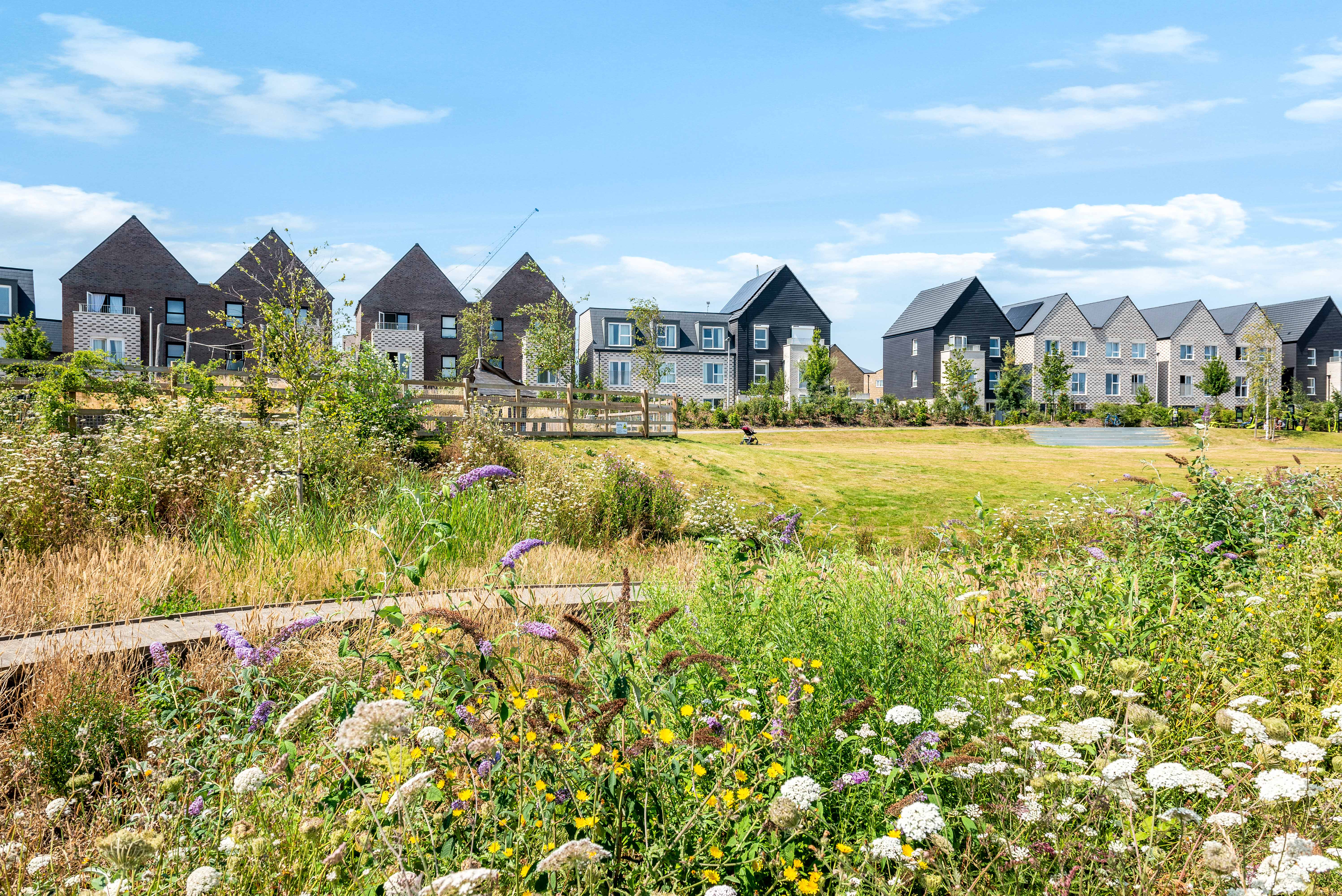 Community And Place Standard