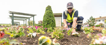 Grounds maintenance Pinnacle - SEO