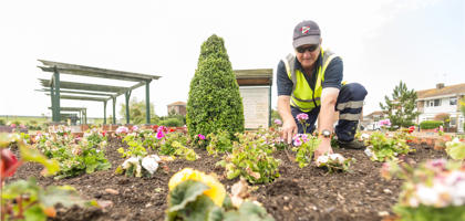 Grounds maintenance Pinnacle - SEO