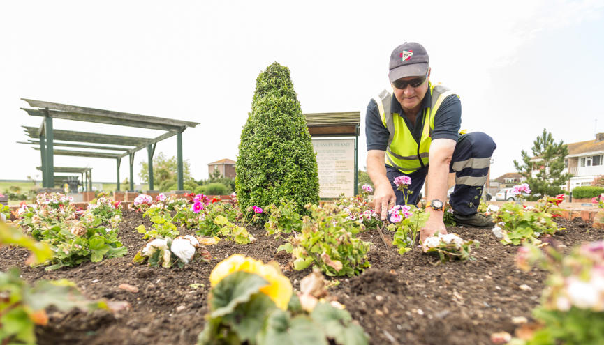Grounds maintenance Pinnacle - SEO